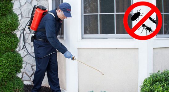 Çameli Akrep İlaçlama böcek ilaçlama ve haşere kontrolü — ilaclama-tr.com